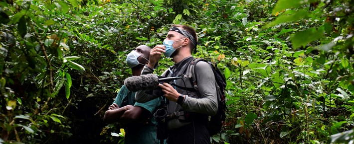 Use of respiratory masks during primate research